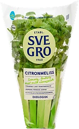 Citronmeliss i kruka Ekologisk 1-p KRAV Svegro