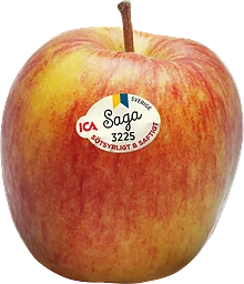 Äpple Saga ca 190g Klass 1
