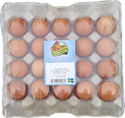Bruna Ägg 20p Frigående Inomhus M/l