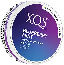 XQS Blueberry Mint 4mg