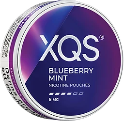 XQS Blueberry Mint S4