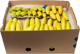 Banankartong Eco 18 kg