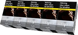 Level Silver 100s 10-pack