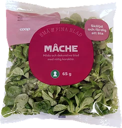 Mâche