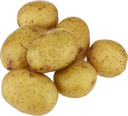 Potatis Fast