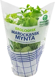 Mynta Klass 1
