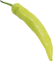 Paprika Charli Klass 1