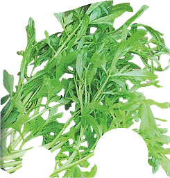 Fröer Krasse Grekisk