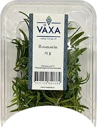 Rosmarin Färsk 15g Växa odling i Sverige