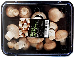 Skogschampinjoner