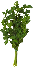 Kabbarp Persilja Blad Eko