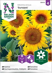 Solros Sunspot 1-p Nelson Garden