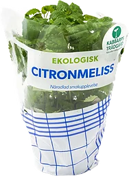 Citronmeliss Ekologisk 1-p Kabbarps Trädgård