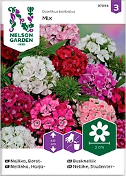 Nejlika Borst 1-p Nelson Garden