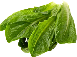 Romansallat 200g Eko  Klass 1