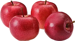 Fruktpåse Äpple Royal Gala 5kg