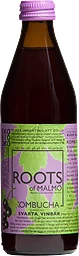 Svarta Vinbär Kombucha