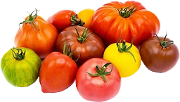 Gourmetmixtomater ca 100g Klass 1