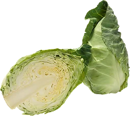 Spetskål Eko