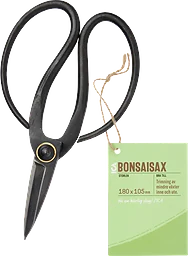 Bonsaisax ICA Garden