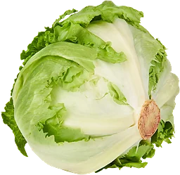 Isbergssallad ca 600g Klass 1 ICA