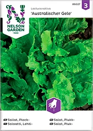 Sallat Plock Australischer Gele 1-p Nelson Garden