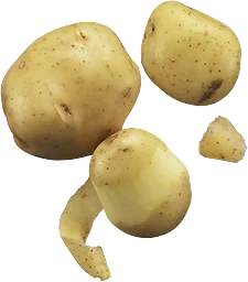 Potatis Mjölig