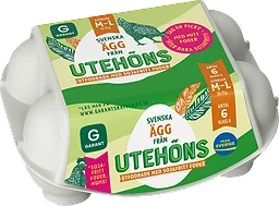 Ägg 6p Frigående Utomhus Medium/large