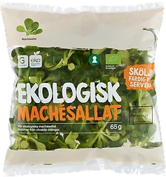 Mache Sallad Eko Klass 1