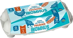 Ägg 10P Frigående Inomhus