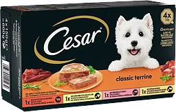 Hundmat Våtfoder Blandade Smaker 4-p 600g Cesar