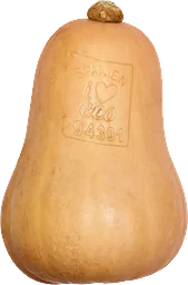Pumpa Butternut Ekologisk ca 900g Klass 1 ICA