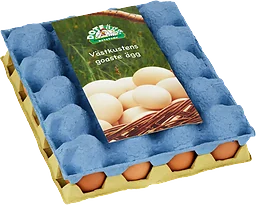 Ägg Inplastad 20-pack ML 1060g Doteägg