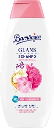 Schampo Glans 400ml Barnängen