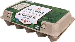Ägg 15P Eko Frigående Utomhus