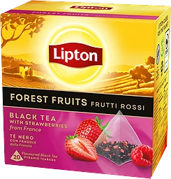 Te Svart Forest Fruit Pyramid 20p Lipton
