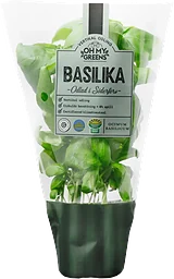 Basilika 30g Oh My Greens