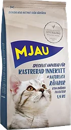 Innekatt Kastrerad