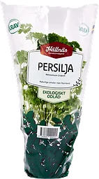 Persilja Krusbladig Kruka KRAV Handelsträdgård