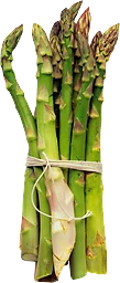 Sparris