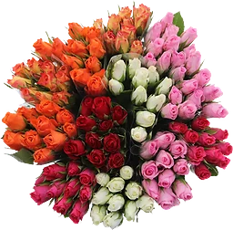 Rosor 10 pack 35 cm