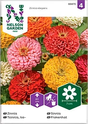Zinnia Hög Blandade färger 1-p Nelson Garden