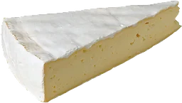 Fransk Brie