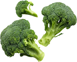 Broccoli