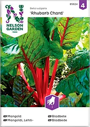 Mangold Rubarb Chard Röd 1-p