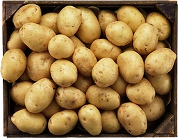 Potatis Eko
