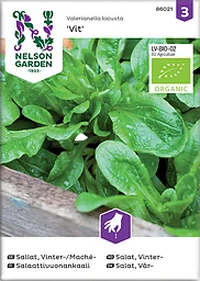 Sallat Vinter Mache Vit Organic