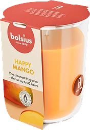 Doftljus Mango