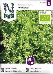 Sallat, Frisée, Wallone, Organic Nelson Garden
