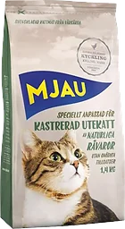 Utekatt Kastrerad